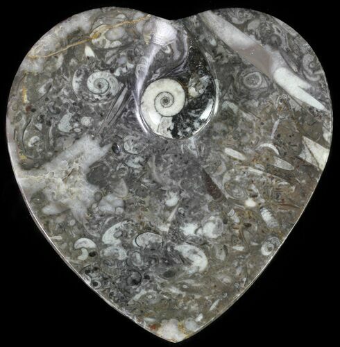 Heart Shaped Fossil Goniatite Dish #61265